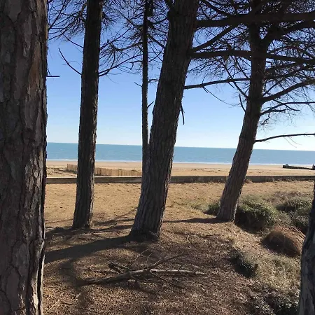 In 36877 Bibione